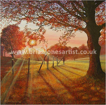 Gallery of paintings by Brian jones, Landscapes and Still Life
