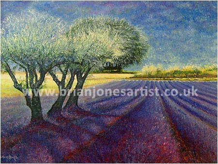 Gallery of paintings by Brian jones, Landscapes and Still Life
