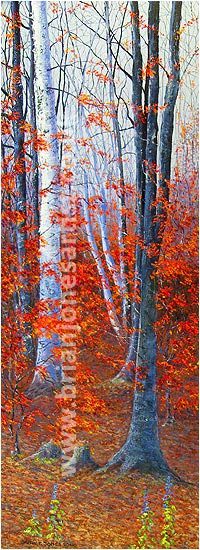 Gallery of paintings by Brian jones, Landscapes and Still Life