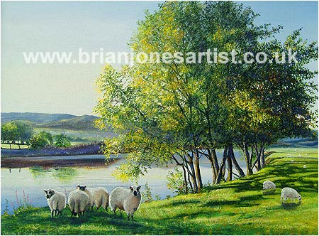 Gallery of paintings by Brian jones, Landscapes and Still Life