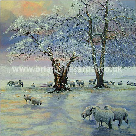 Gallery of paintings by Brian jones, Landscapes and Still Life