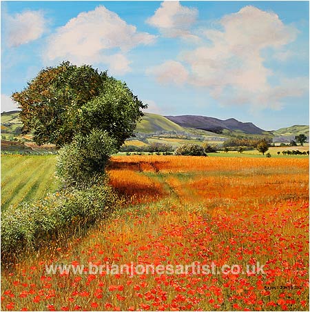 Gallery of paintings by Brian jones, Landscapes and Still Life