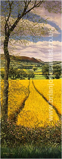 Gallery of paintings by Brian jones, Landscapes and Still Life