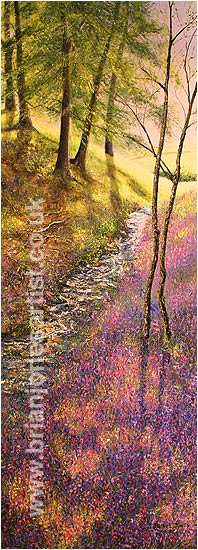 Gallery of paintings by Brian jones, Landscapes and Still Life