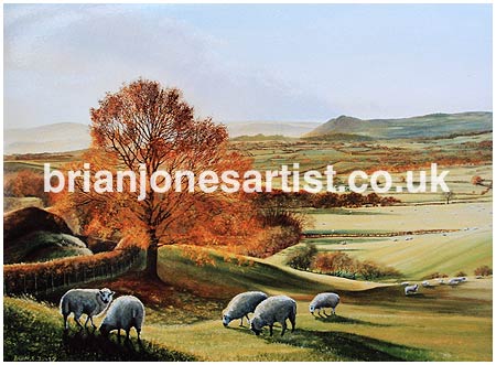 Gallery of paintings by Brian jones, Landscapes and Still Life