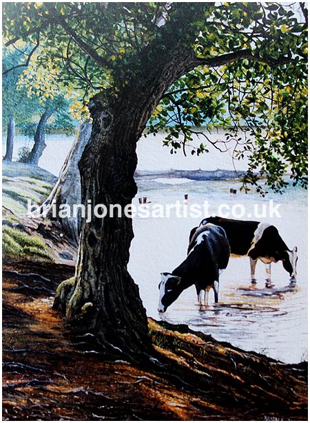 Gallery of paintings by Brian jones, Landscapes and Still Life