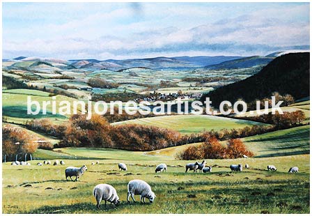 Gallery of paintings by Brian jones, Landscapes and Still Life