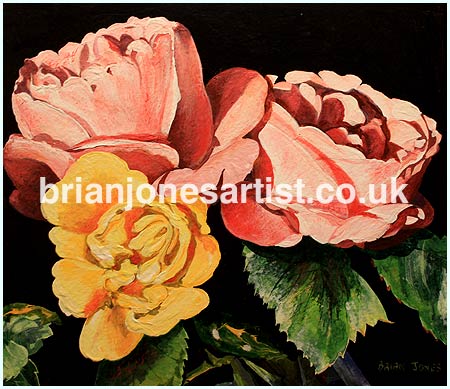 Gallery of paintings by Brian jones, Landscapes and Still Life