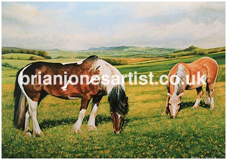 Gallery of paintings by Brian jones, Landscapes and Still Life
