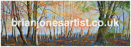 Gallery of paintings by Brian Jones, Landscapes and Still Life
