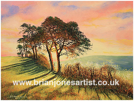 Gallery of paintings by Brian jones, Landscapes and Still Life