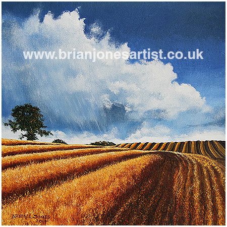 Gallery of paintings by Brian jones, Landscapes and Still Life