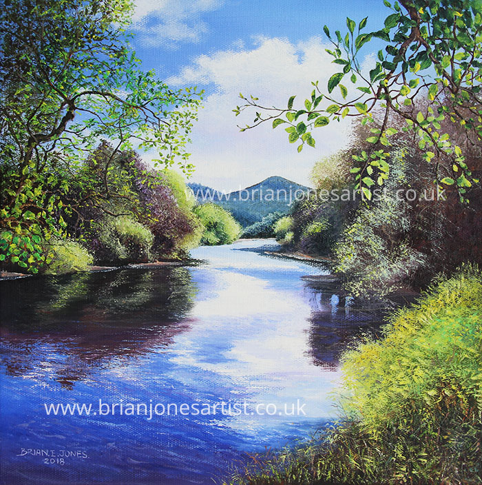 Gallery of paintings by Brian jones, Landscapes and Still Life