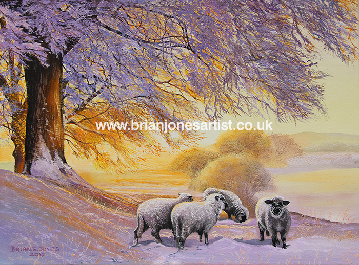 Gallery of paintings by Brian jones, Landscapes and Still Life