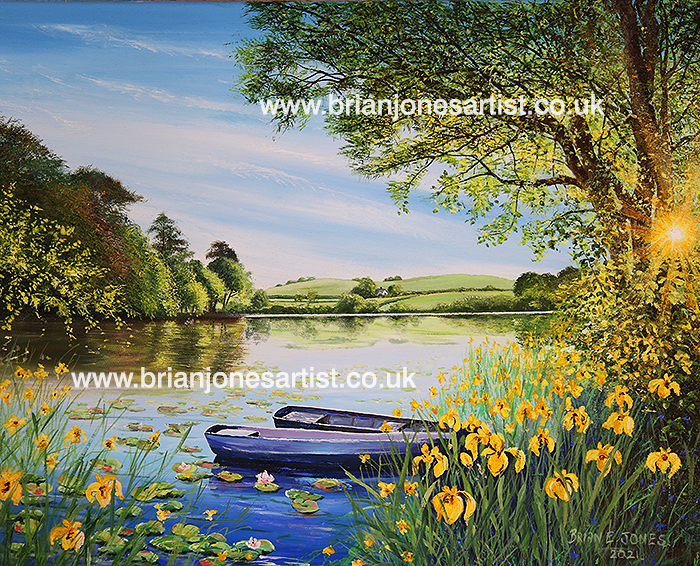 Gallery of paintings by Brian jones, Landscapes and Still Life