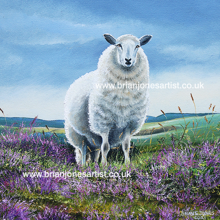 Gallery of paintings by Brian jones, Landscapes and Still Life